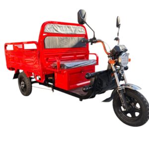 Triciclo 500 kilos