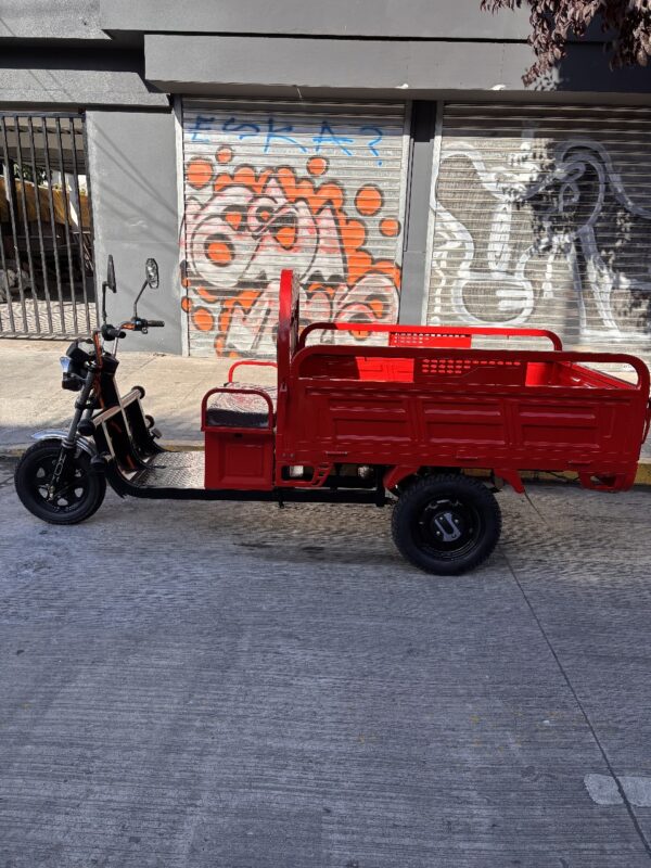 Triciclo 800 kilos