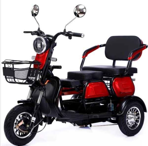 Triciclo Adulto Mayor S2