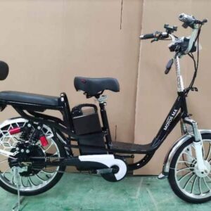 Bicicleta BK1