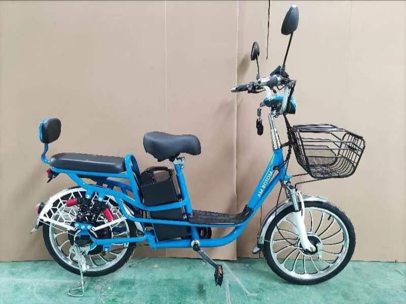 Bicicleta BK1